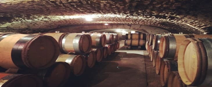 Emma på besök i Bourgogne
