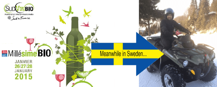 Simon Källquist på Millésime Bio Organic Wine Fair (samtidigt som Calle njuter av den Svenska vintern…)
