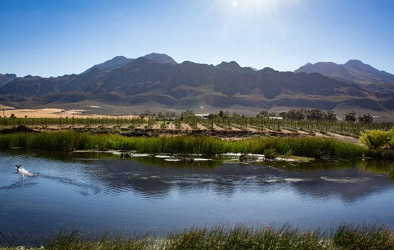 Breede River Valley