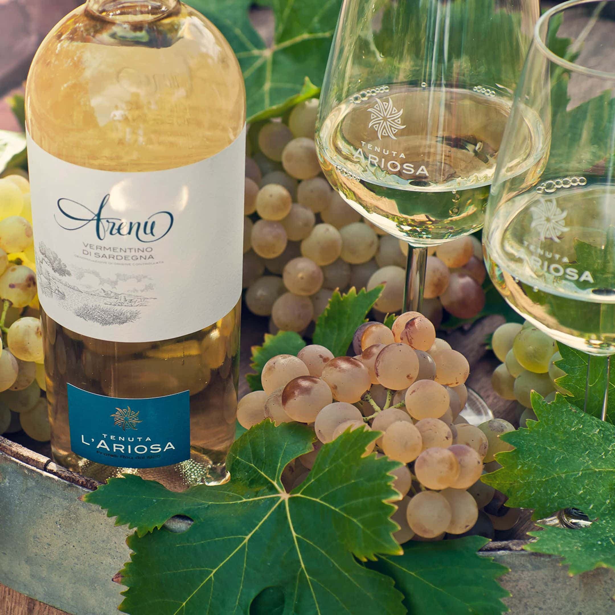 Arenu Vermentino – Från Sardiniens hjärta