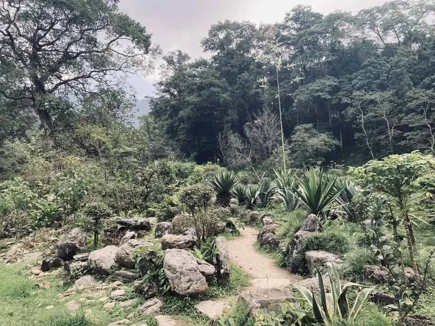 Godawari