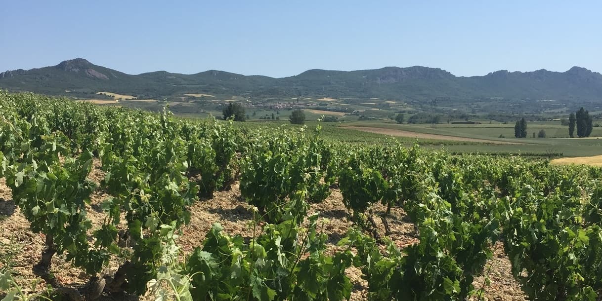 Emma Bill besöker Inverse Trade Mission to La Rioja