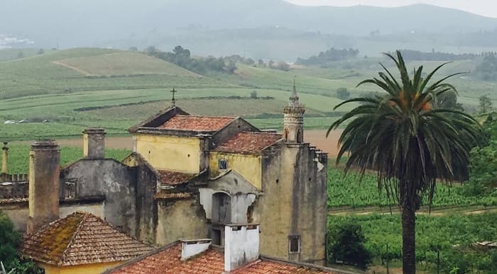 Ebba Rönneskog besöker Quinta do Gradil i Portugal