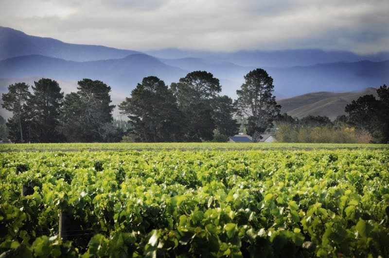 Martinborough