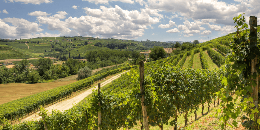Castion / San Martino di Soave Ernesto
