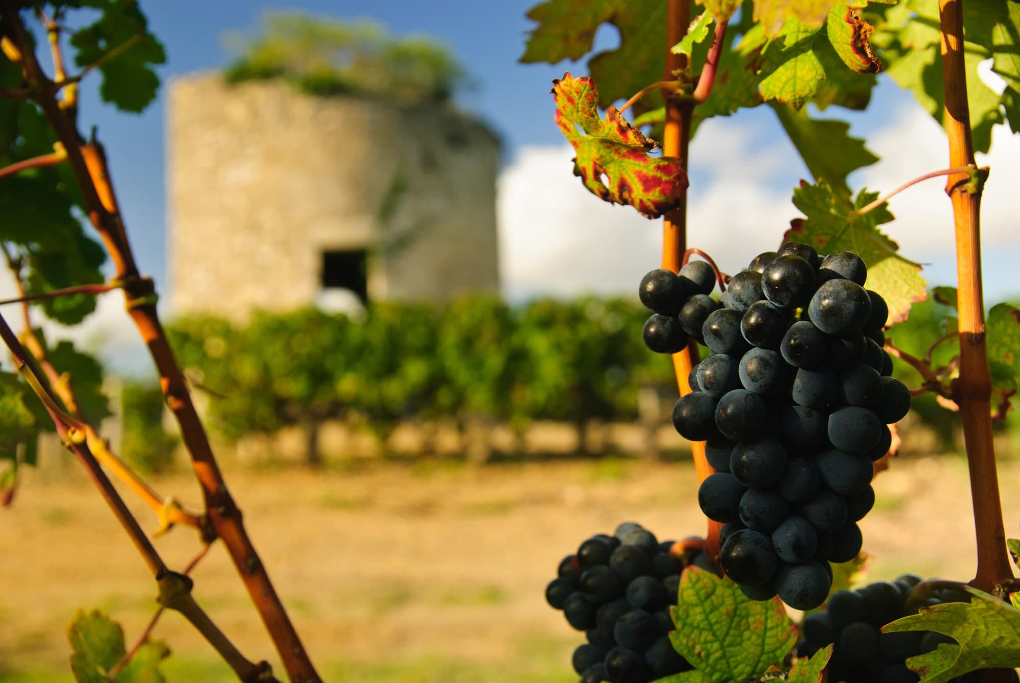 Bourgogne Épineuil