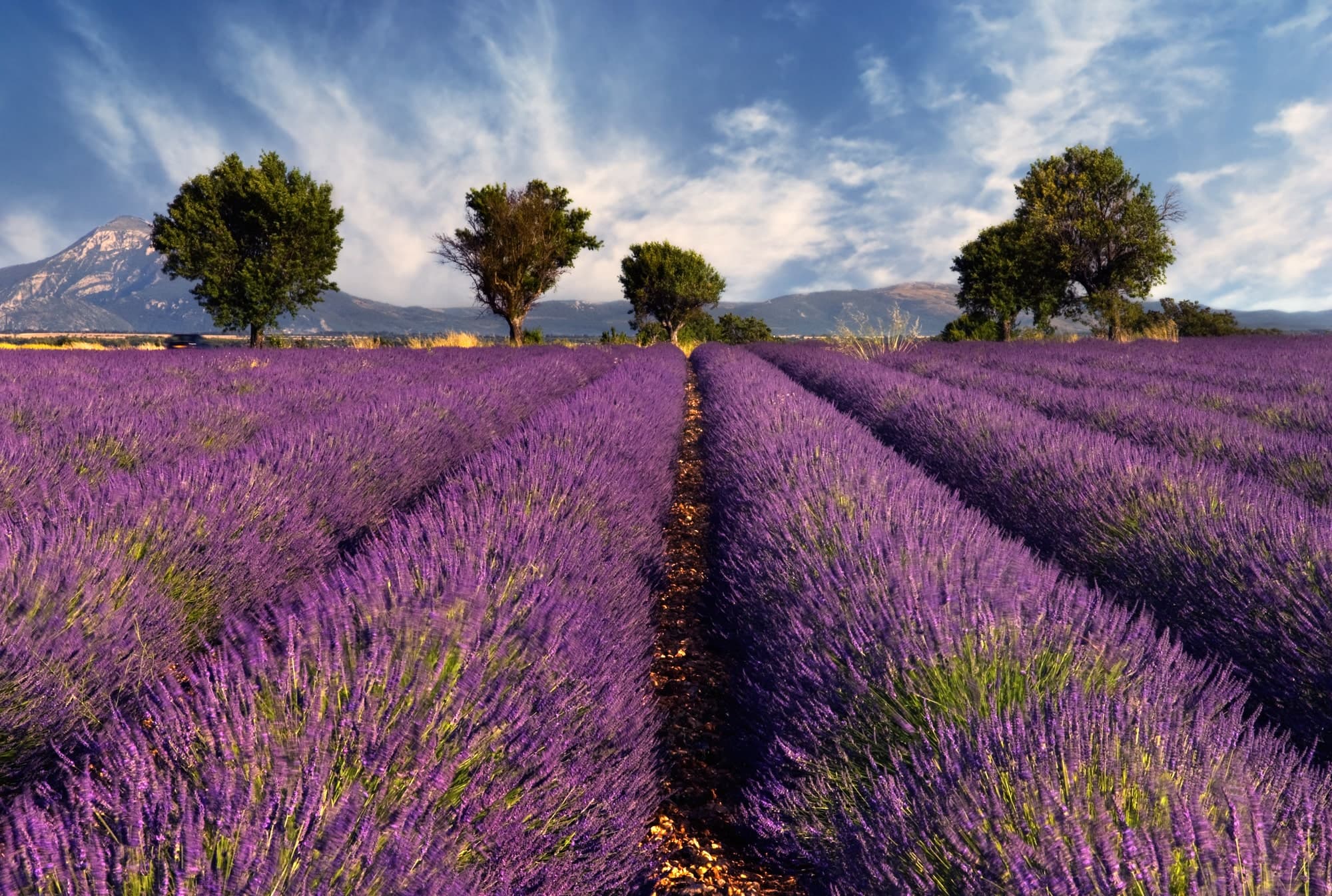 Coteaux d’Aix-en-Provence