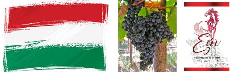 The next big thing – ungerska viner kommer på bred front