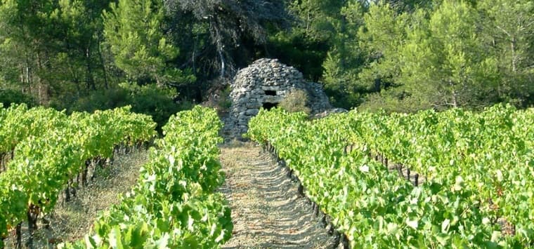 Minervois, Languedoc-Roussillon