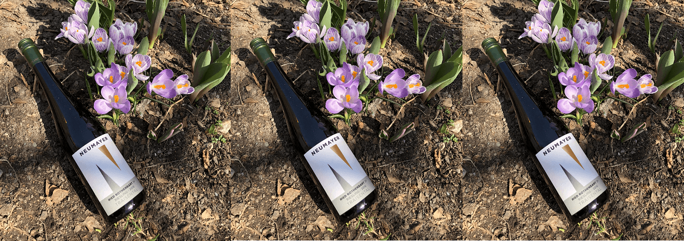 Nyhet på Systembolagets Små Partier – Neumayer Erste Lage Riesling