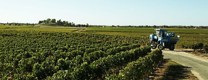 Bergerac