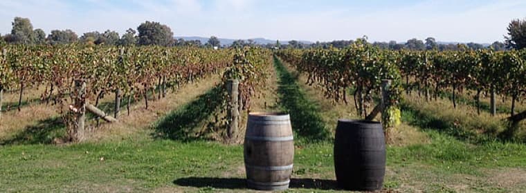 King Valley