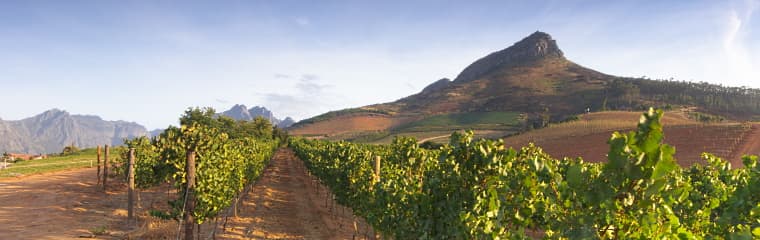 Hett tips! Longridge Wine Ekliptika – det harmoniska vinet