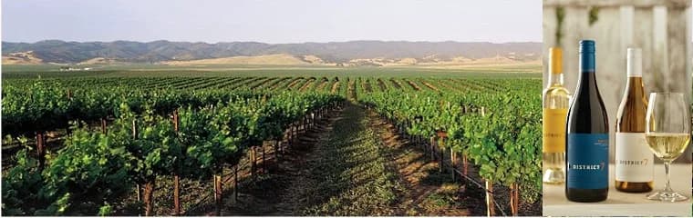 Monterey County – så nära vinhimlen du kan komma