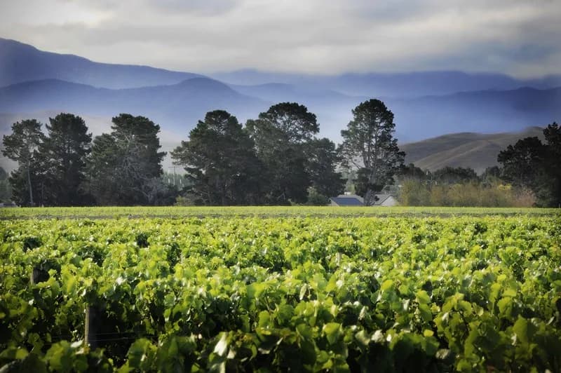 Martinborough