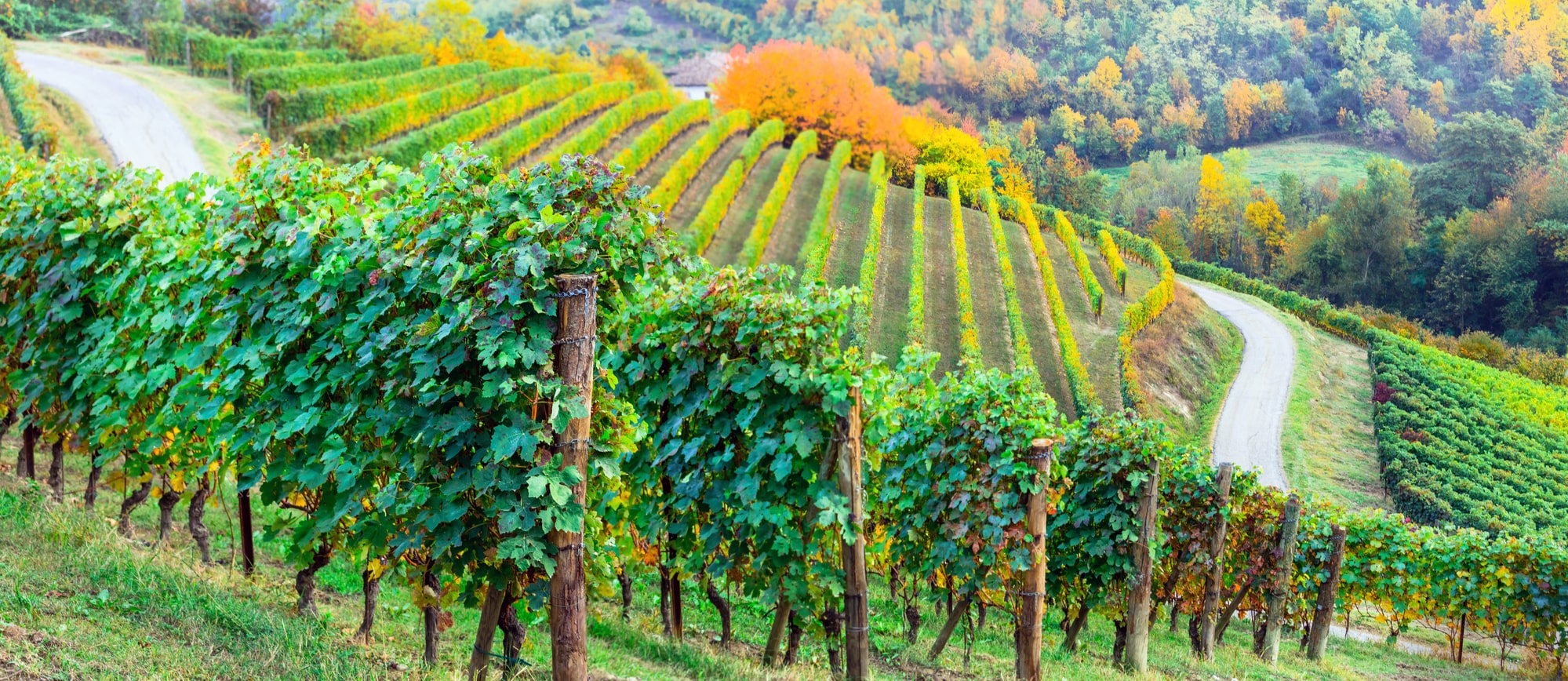 Piemonte