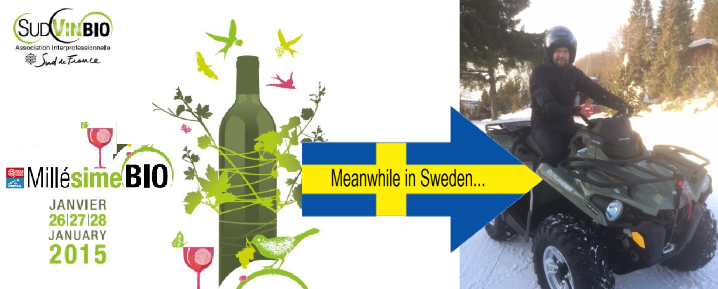 Simon Källquist på Millésime Bio Organic Wine Fair (samtidigt som Calle njuter av den Svenska vintern…)