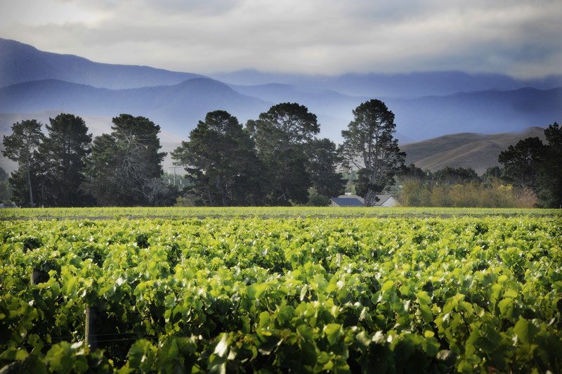 Martinborough