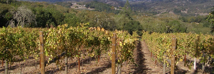 Dry Creek Valley