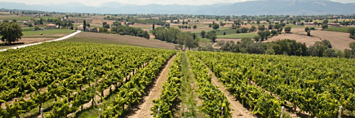 Montefalco, Umbrien