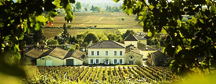 Bordeaux Vineam