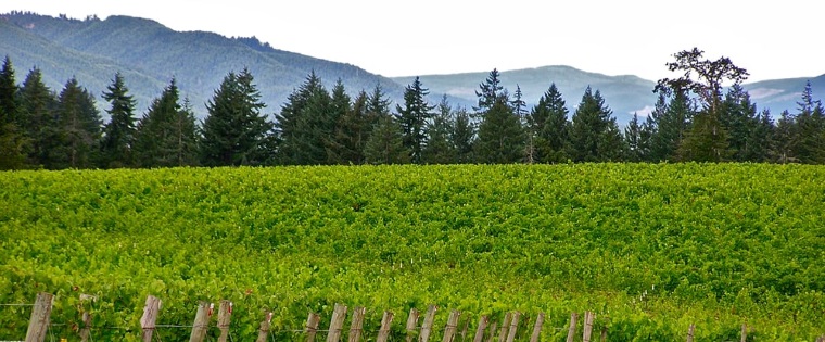 Oregon