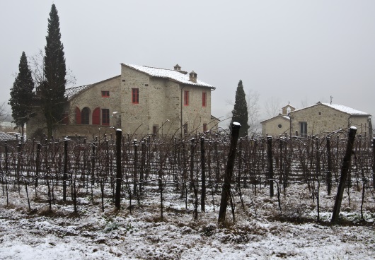 Chianti: Vingården på vintern