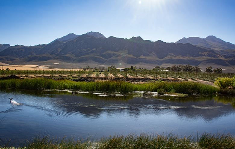 Breede River Valley