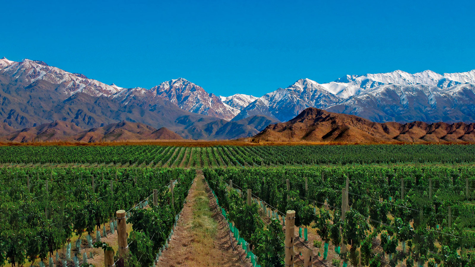 Mendoza