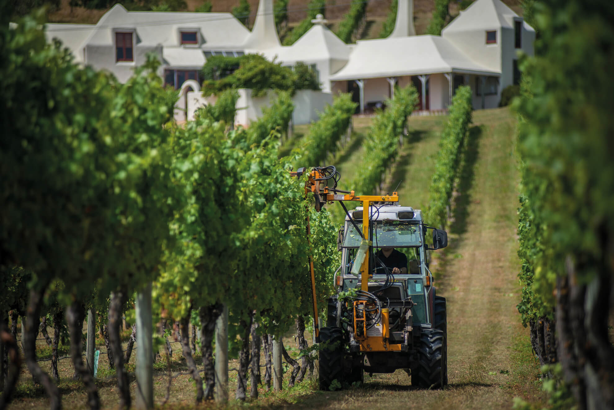 Te Mata Estate