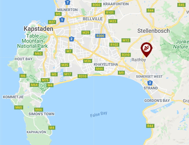 karta cape town
