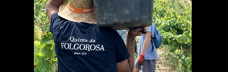 Heta vintips från Portugal!