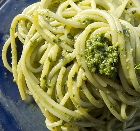 matcha vin med mat - pesto