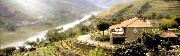 Douro Valley