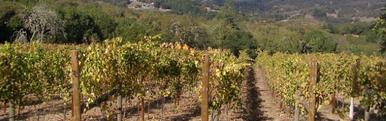 Dry Creek Valley