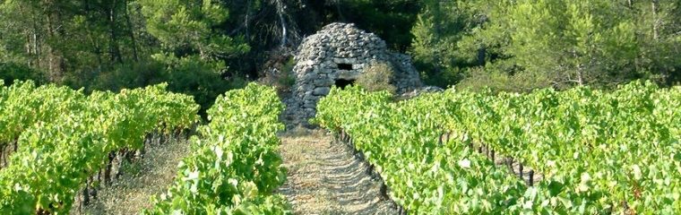 Minervois, Languedoc-Roussillon