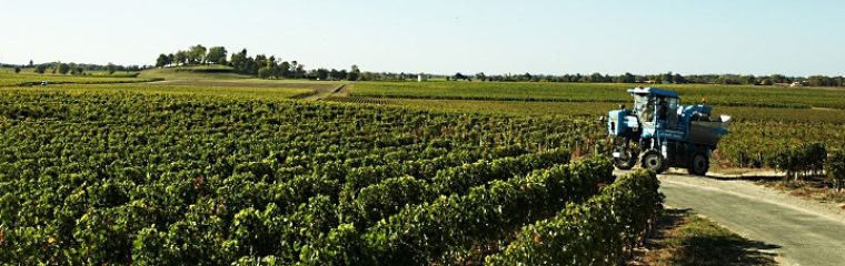 Bergerac