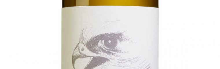 Falco Arinto