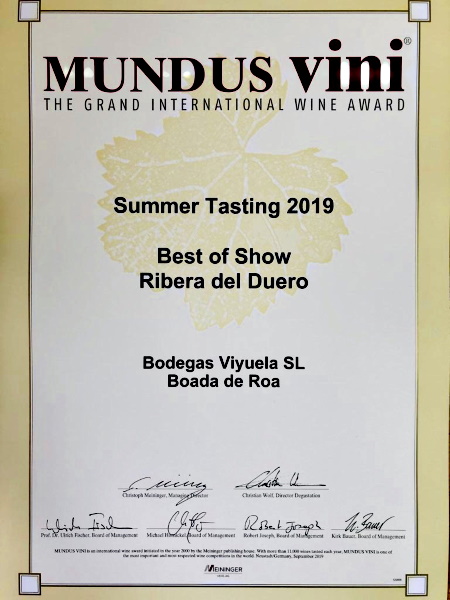 Bodegas Viyuela i Ribera del Duero