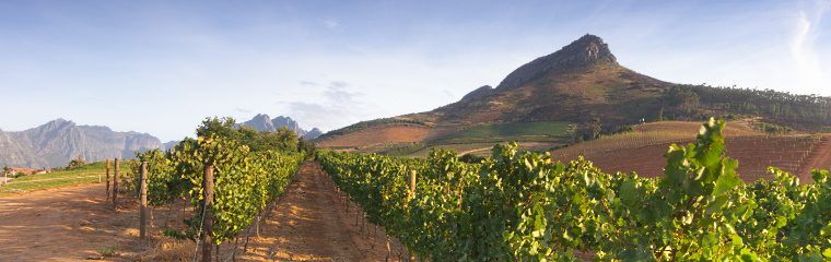 Hett tips! Longridge Wine Ekliptika – det harmoniska vinet