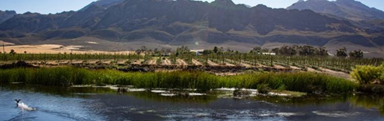 Breede River Valley