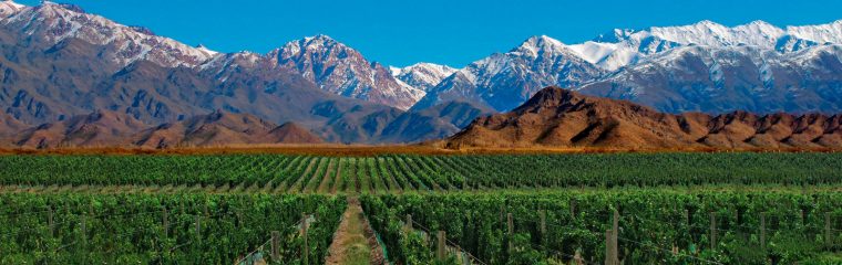 Mendoza
